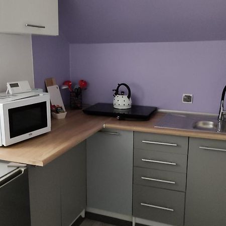 Apartament "Jelen" Jelenia Gora Apartment Bagian luar foto